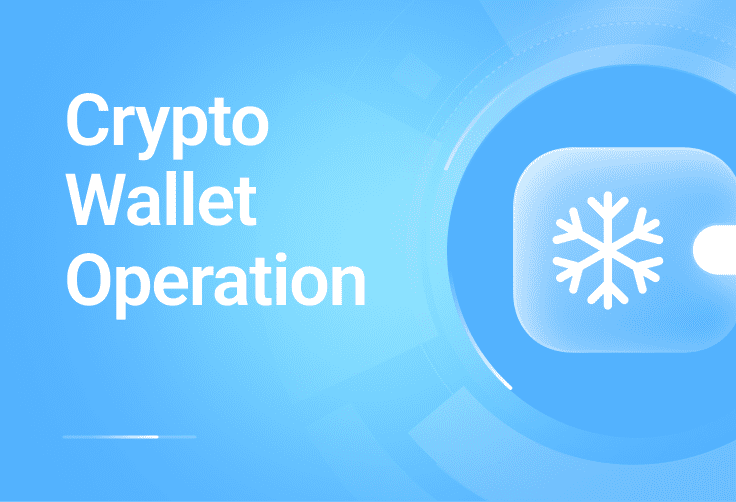 Crypto Wallet Operation